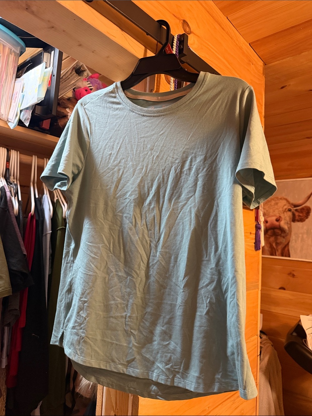 Men's Crew Neck Short Sleeve Tee - Light Sage Green